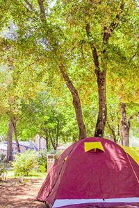 camping Sillans-la-Cascade avec emplacement