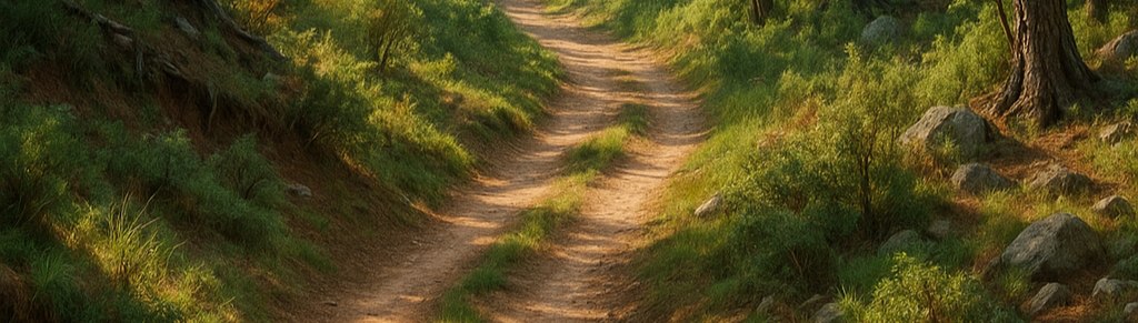 Sentier d'une balade dans le Var